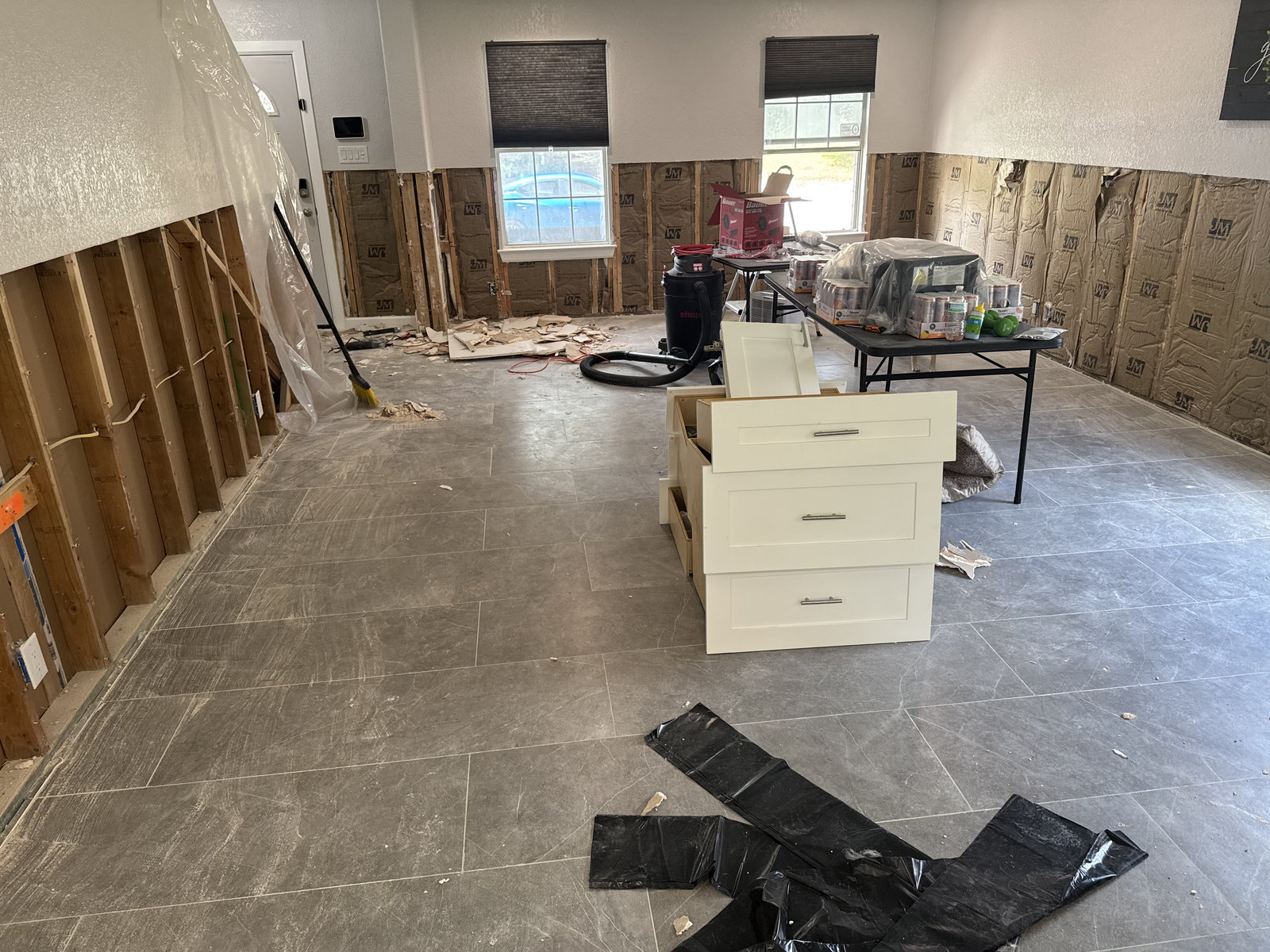 Water damaged drywall and insulation removed down to the studs